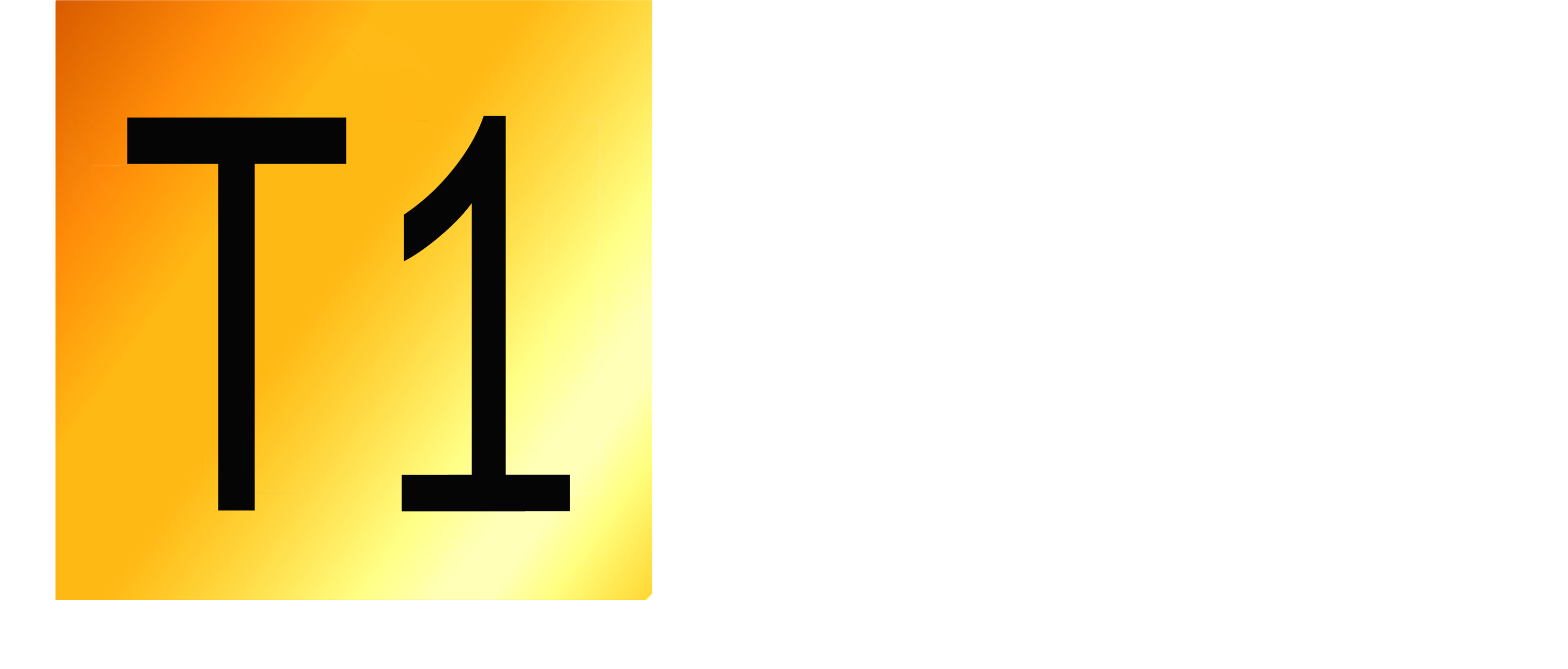 Tier 1 Performance Coaching
